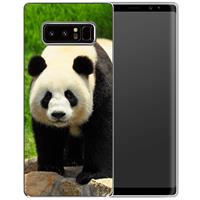 B2Ctelecom Samsung Galaxy Note 8 TPU Hoesje Panda