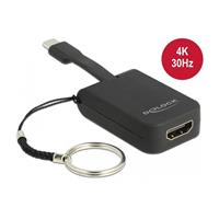 Delock USB-C Adapter naar HDMI 4k 30 Hz sleutelhanger