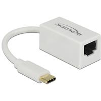 Delock USB C adapter - 