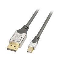 LINDY DisplayPort Anschlusskabel [1x DisplayPort Stecker - 1x Mini-DisplayPort Stecker] 2.00m Grau