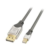 LINDY DisplayPort Anschlusskabel [1x DisplayPort Stecker - 1x Mini-DisplayPort Stecker] 3.00m Grau