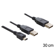 Delock USB 2.0 Y kabel - 