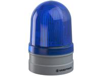 WERMA Signalleuchte Midi TwinFLASH 115-230VAC BU Blau 230 V/AC