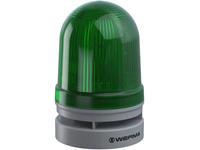 WERMA Signalleuchte Midi TwinLIGHT Combi 115-230VAC GN Grün 230 V/AC 110 dB