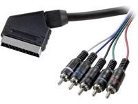 speakaprofessional Component Cinch / SCART TV, Receiver Anschlusskabel [5x Cinch-Stecker - 1x SCART