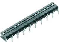 Weidmüller Stiftgehäuse-Platine BL/SL 5.08 Polzahl Gesamt 3 Rastermaß: 5.08mm 100St.