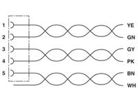 phoenixcontact Phoenix Contact 1517929 Sensor/actuator aansluitkabel 5 m Aantal polen: 5 1 stuks