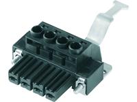 Weidmüller Buchsengehäuse-Kabel BV/SV Polzahl Gesamt 4 Rastermaß: 7.62mm 25St.