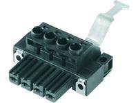 Weidmüller Buchsengehäuse-Kabel BV/SV Polzahl Gesamt 4 Rastermaß: 7.62mm 25St.