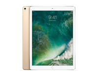 Apple Refurbished iPad Pro 12.9 64GB WiFi goud (2017) HolySmartPhoneC-grade