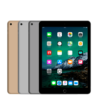 Apple iPad Air 2 (Oog)
