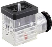 htp Ventilstecker Transparent Pole:2 + PE Inhalt: 1St.