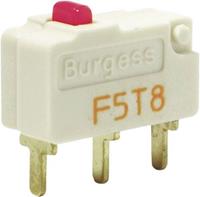 Burgess Mikroschalter F5T8UL 250 V/AC 5A 1 x Ein/(Ein) IP40 tastend 1St.