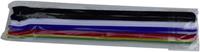 trucomponents TRU COMPONENTS 804-06-Bag Klittenband kabelbinders Om te bundelen Haak- en lusdeel (l x b) 250 mm x 13 mm Bont 10 stuk(s)