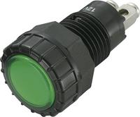 sci LED-signaallamp Groen 12 V/DC R9-122L1-06-BGG4