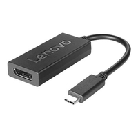 lenovo 4X90Q93303 - Externe video-adapter - USB-C - DisplayPort - zwart