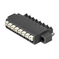 Weidmüller Buchsengehäuse-Kabel BC/SC Polzahl Gesamt 4 Rastermaß: 3.81mm 1971590000 50St.