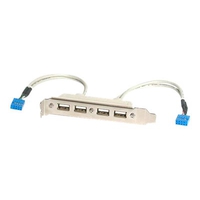 StarTech.com 4 Port USB 2.0 Buchse Slotblech Adapter mit 2x 10-Pin Mainboard Header - USB-Konsole -