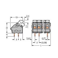 WAGO 256-405/334-000 Federkraftklemmblock 2.50mm² Polzahl 5 Grau 160St.