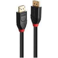 Lindy 41167 DisplayPort kabel 5 m Zwart