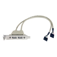 StarTech.com 2 Port USB 2.0 Low Profile Slotblech - Buchse - USB-Konsole - USB bis Inline, 5-polig