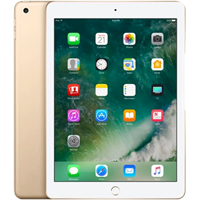 iPad 2017 4g 128gb-Goud-Product bevat zichtbare gebruikerssporen