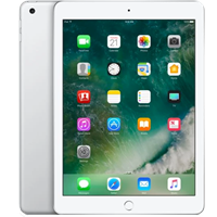 iPad 2017 4g 128gb-Zilver-Product bevat lichte gebruikerssporen