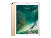 Apple iPad Pro 12,9 512 GB WLAN gold (2017) | Ohne Kabel und Ladegerät