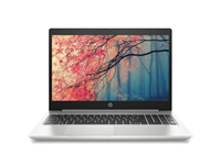 HP ProBook 450 G7 | 15.6 inch FHD | 10e generatie i5 | 256GB SSD | 8GB RAM | QWERTY/AZERTY/QWERTZ B-grade