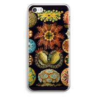 CaseCompany Haeckel Ascidiae: iPhone 5 / 5S / SE Transparant Hoesje