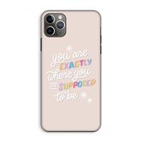 CaseCompany Right Place: iPhone 11 Pro Max Tough Case