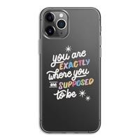 CaseCompany Right Place: iPhone 11 Pro Transparant Hoesje
