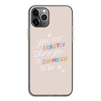 CaseCompany Right Place: iPhone 11 Pro Transparant Hoesje