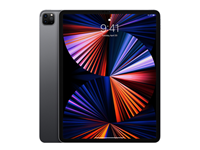 Refurbished iPad Pro 12.9 256gb wifi (2021) Spacegrijs Als nieuw