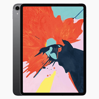 Apple Refurbished iPad Pro 12.9 (2020) 256GB WiFi Space Gray