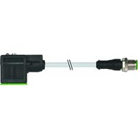 Murr Elektronik 7000-40881-2260060 Klepstekker met aangegoten kabel Grijs Inhoud: 1 stuk(s)