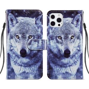 huismerk Geschilderd Patroon Horizontale Flip Lederen Case met Houder & Kaart Slots & Fotokader voor iPhone 13 Pro (White Wolf)