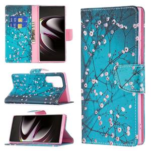 huismerk Voor Samsung Galaxy S22 Ultra 5G Gekleurde Tekening Patroon Horizontale Flip Phone Lederen Case met Houder & Card Slots & Portemonnee (Plum Blossom)