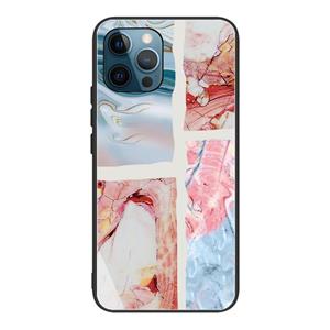 huismerk Abstract Marble Pattern Glass Protective Case For iPhone 13 Pro(HC-A21)