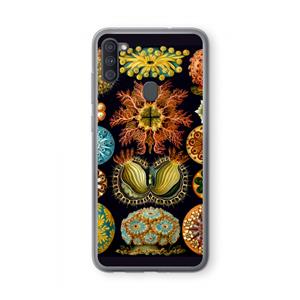 CaseCompany Haeckel Ascidiae: Samsung Galaxy A11 Transparant Hoesje