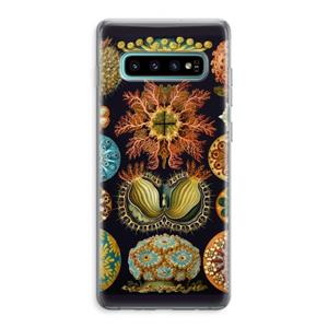 CaseCompany Haeckel Ascidiae: Samsung Galaxy S10 Plus Transparant Hoesje