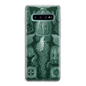 CaseCompany Haeckel Cubomedusae: Samsung Galaxy S10 Plus Transparant Hoesje