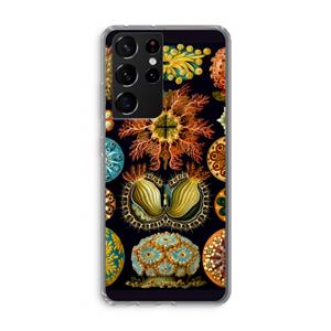 CaseCompany Haeckel Ascidiae: Samsung Galaxy S21 Ultra Transparant Hoesje