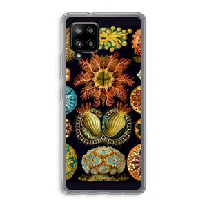 CaseCompany Haeckel Ascidiae: Samsung Galaxy A42 5G Transparant Hoesje