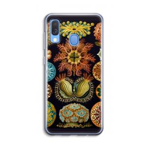 CaseCompany Haeckel Ascidiae: Samsung Galaxy A40 Transparant Hoesje