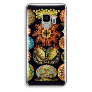 CaseCompany Haeckel Ascidiae: Samsung Galaxy S9 Transparant Hoesje