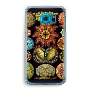 CaseCompany Haeckel Ascidiae: Samsung Galaxy S6 Transparant Hoesje