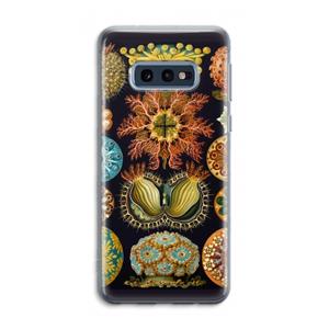 CaseCompany Haeckel Ascidiae: Samsung Galaxy S10e Transparant Hoesje