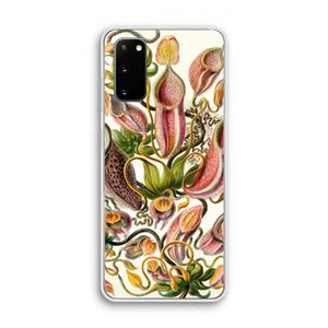 CaseCompany Haeckel Nepenthaceae: Samsung Galaxy S20 Transparant Hoesje