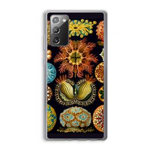 CaseCompany Haeckel Ascidiae: Samsung Galaxy Note 20 / Note 20 5G Transparant Hoesje